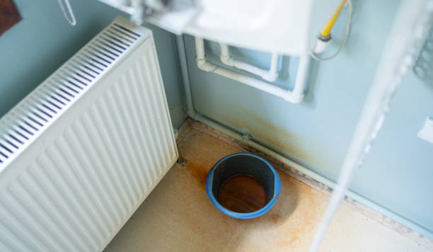 Best Mold removal after water damage  in Houghton, MI